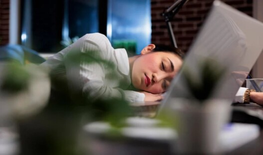 Daytime sleep and its impact on productivity