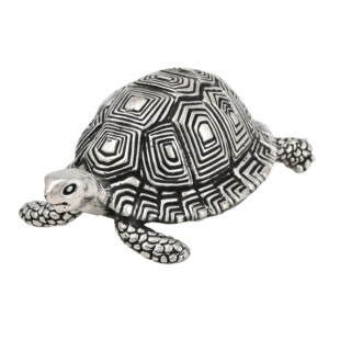 tortoise silver