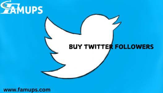 buy twitter followers