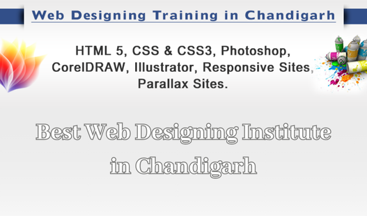 best-web-designing-institute-in-chandigarh